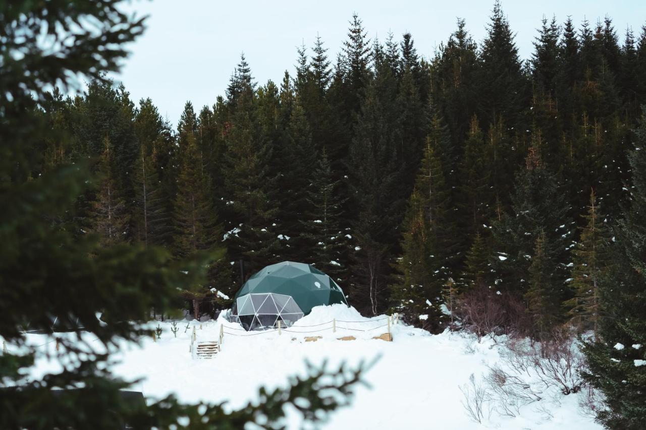 Golden Circle Domes - Glamping Experience Hotel Selfoss Kültér fotó